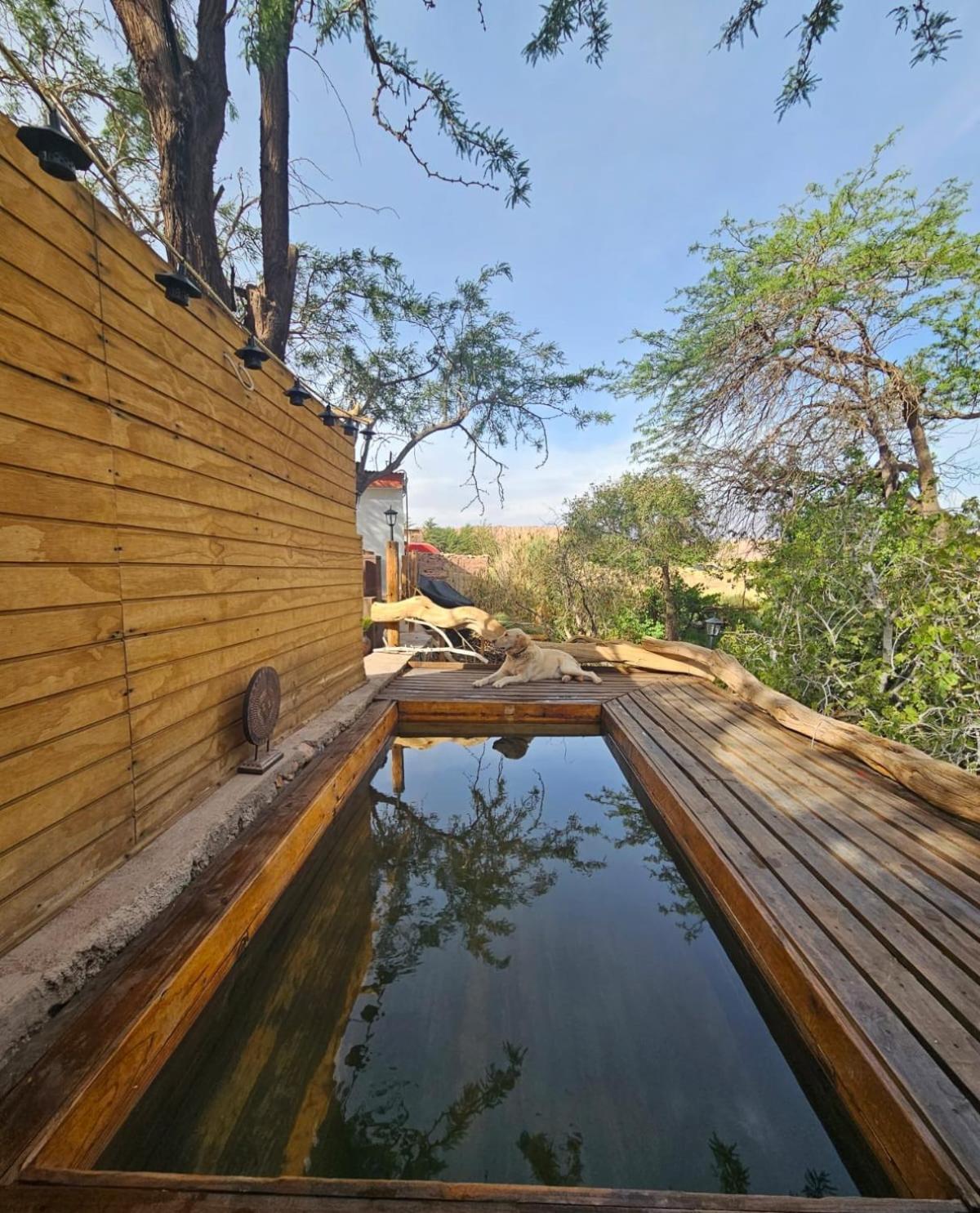 Anka Lodge Quitor San Pedro De Atacama Esterno foto