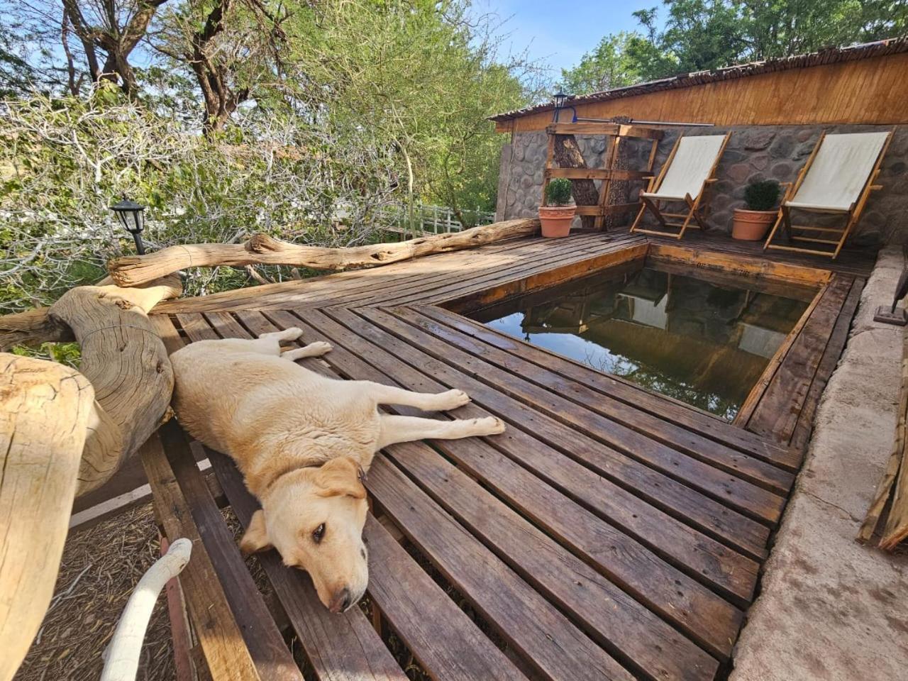 Anka Lodge Quitor San Pedro De Atacama Esterno foto