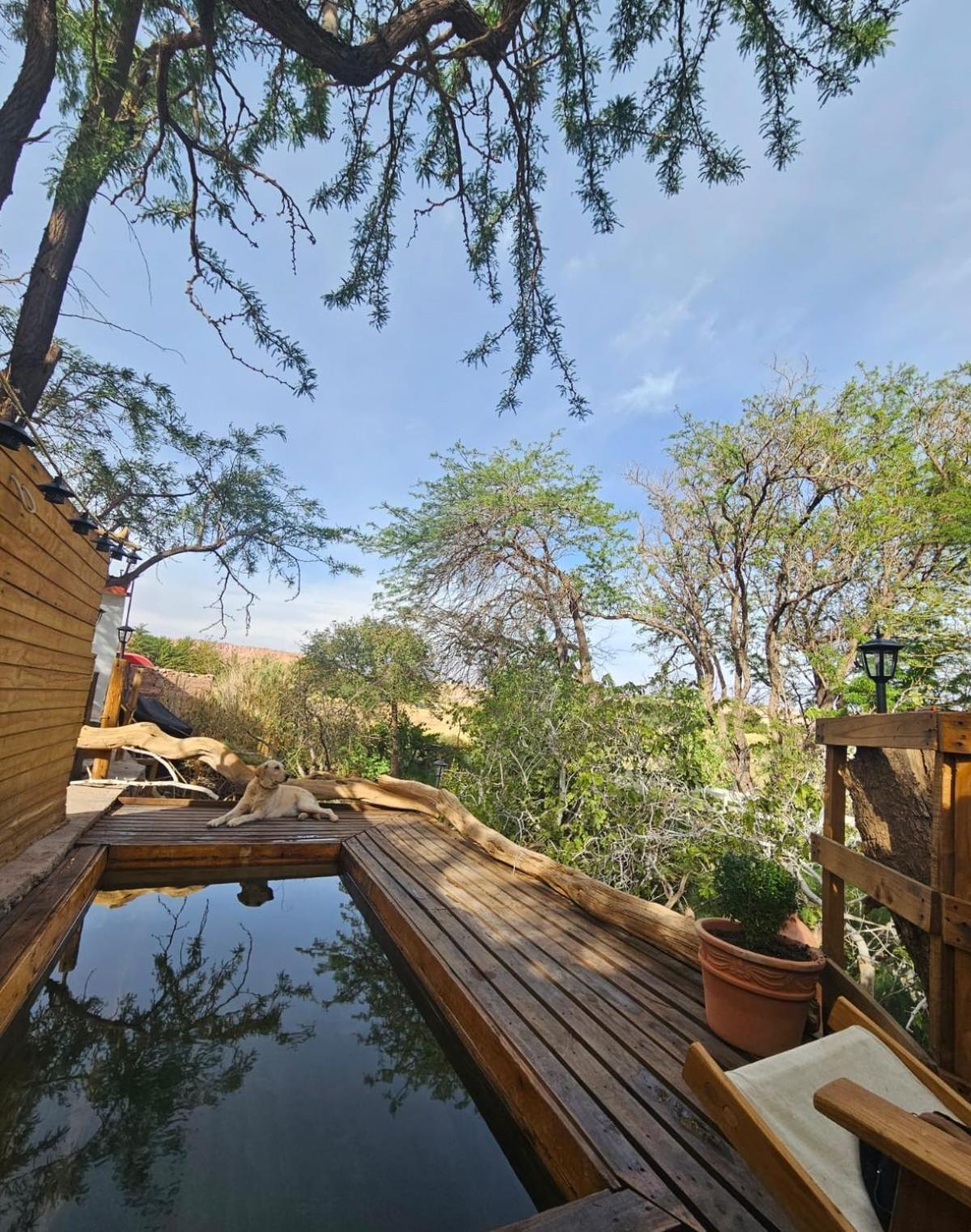 Anka Lodge Quitor San Pedro De Atacama Esterno foto