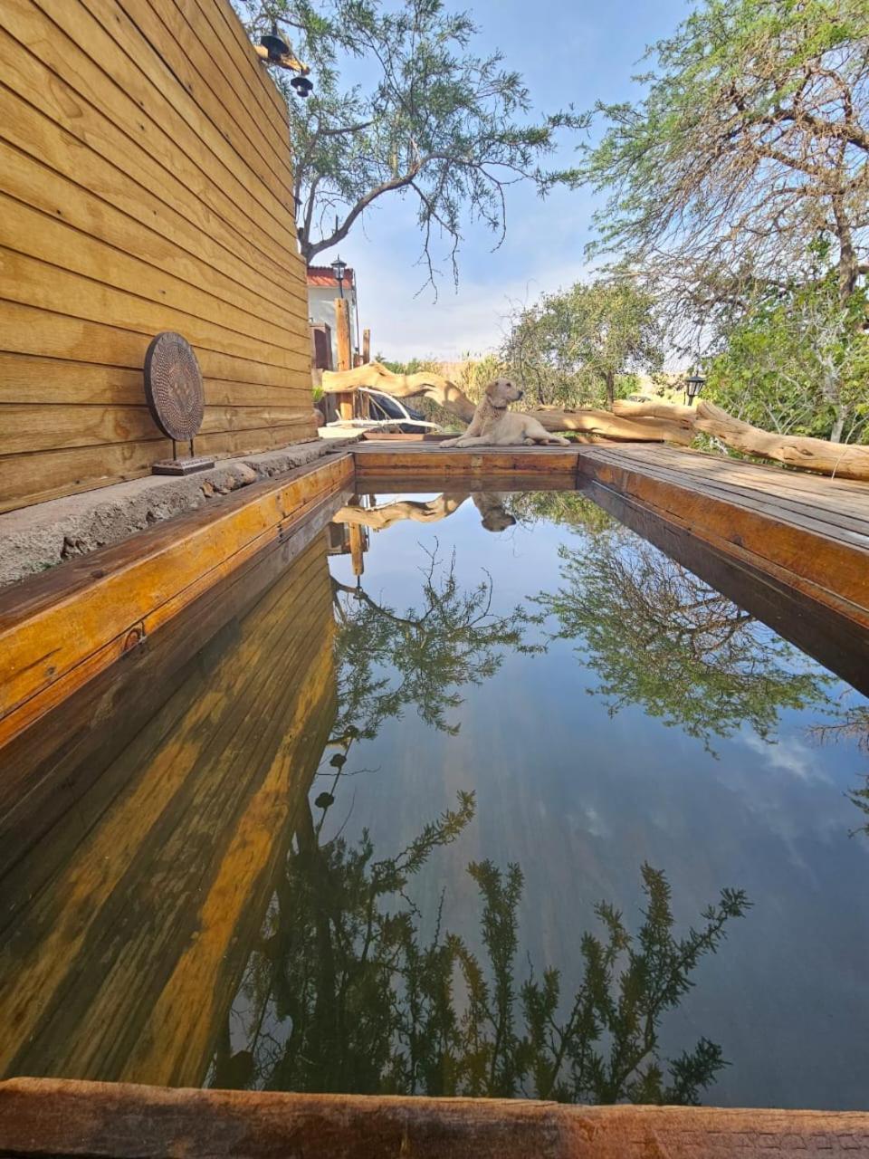 Anka Lodge Quitor San Pedro De Atacama Esterno foto
